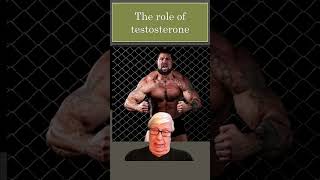 Download Lagu Testosterone and territoriality: two hidden drivers of masculinity MP3