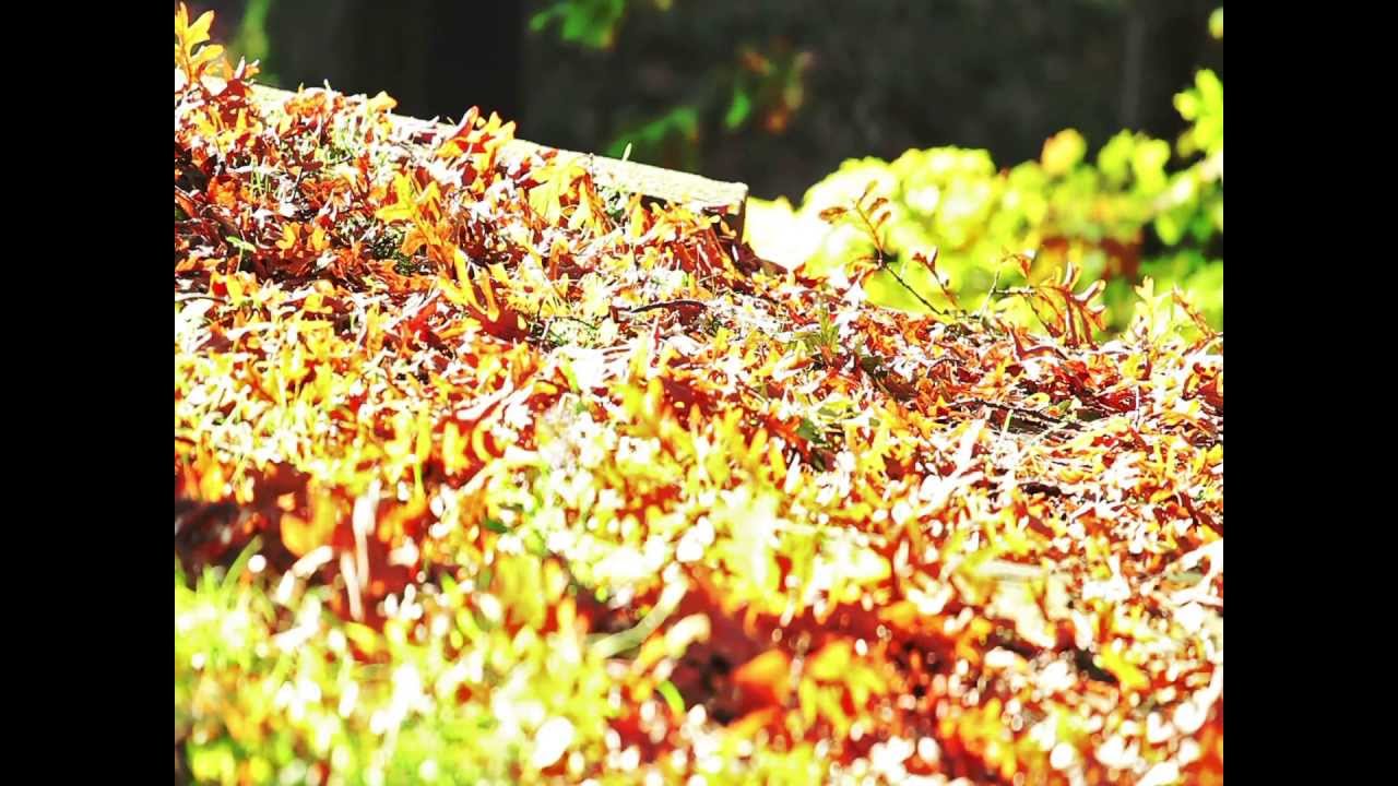 Deep Breathing Male Voice