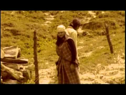 Teri Bewafai [Full Song] Teri Bewafai