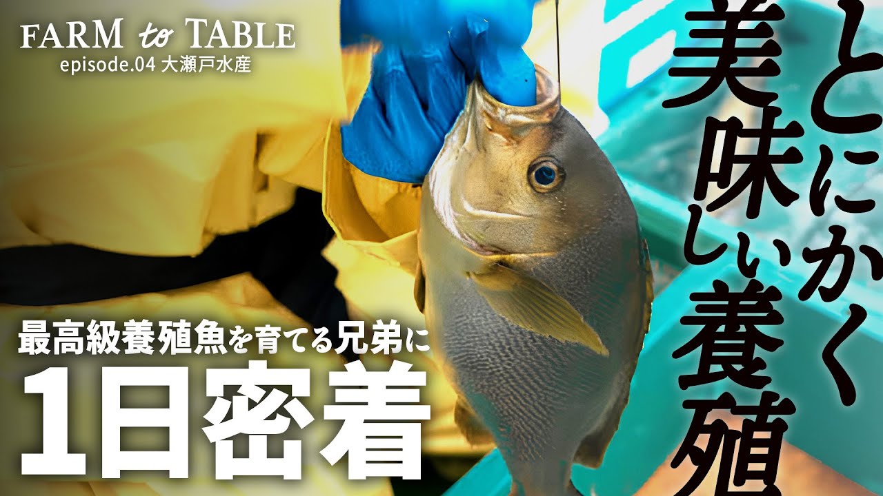 【密着】雨の日も風の日も、魚と向き合う日々！世界一おいしい養殖魚を目指す養殖漁業者の1日とは？