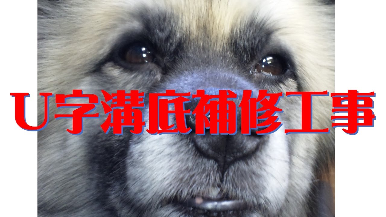 【工事】Ｕ字溝補修