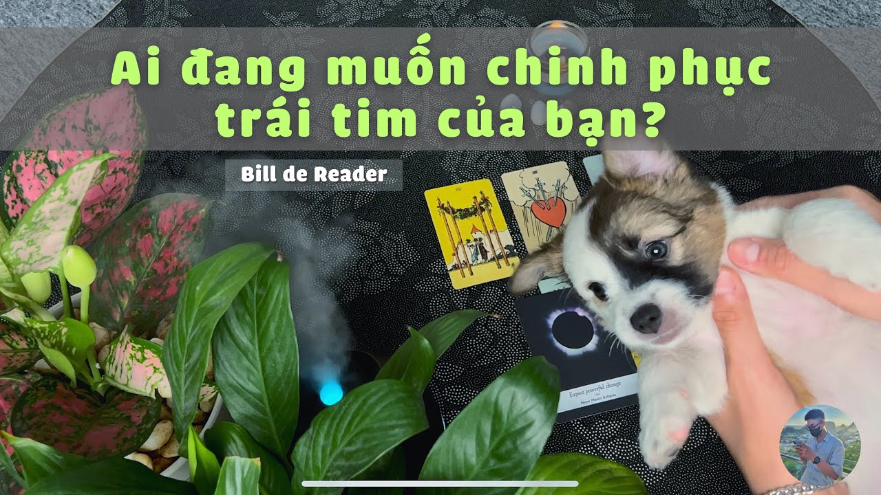 💘 Ai đang muốn chinh phục trái tim của bạn? 💌 #tarot