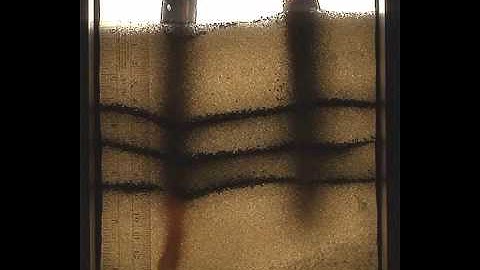 Beneath Our Feet: Strategies for Locomotion in Granular Media: Supplemental Video 1
