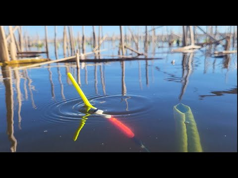 РЫБАЛКА НА ПОПЛАВОК В САМЫХ ДЕБРЯХ! КАРАСЬ С ЛОДКИ.