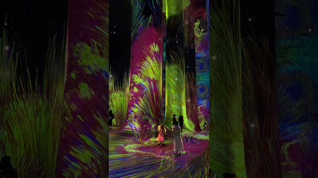 Teamlab Phenomena Abu Dhabi | Walking Through a Living Artwork ✨ 
