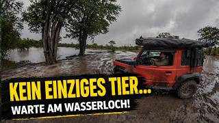 AFRIKA Botswana | Regenzeit = KEINE Tiere?!  | Day 128