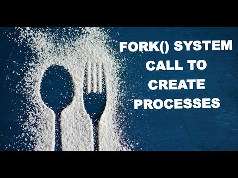 Create New Processes using Fork() !