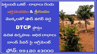 Red Sandal Plantation Plots near Yadagirigutta 9912043000