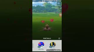 Pokémon GO: Shiny Pikachu avistado no Japão