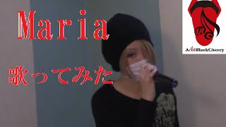 バンギャが Maria Acid Black Cherry歌ってみた Youtube