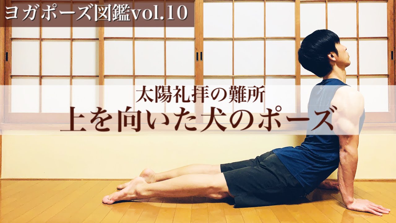 【ヨガポーズ図鑑vol.10：アップドッグ】コブラとの違いを理解して後屈を深めるコツ