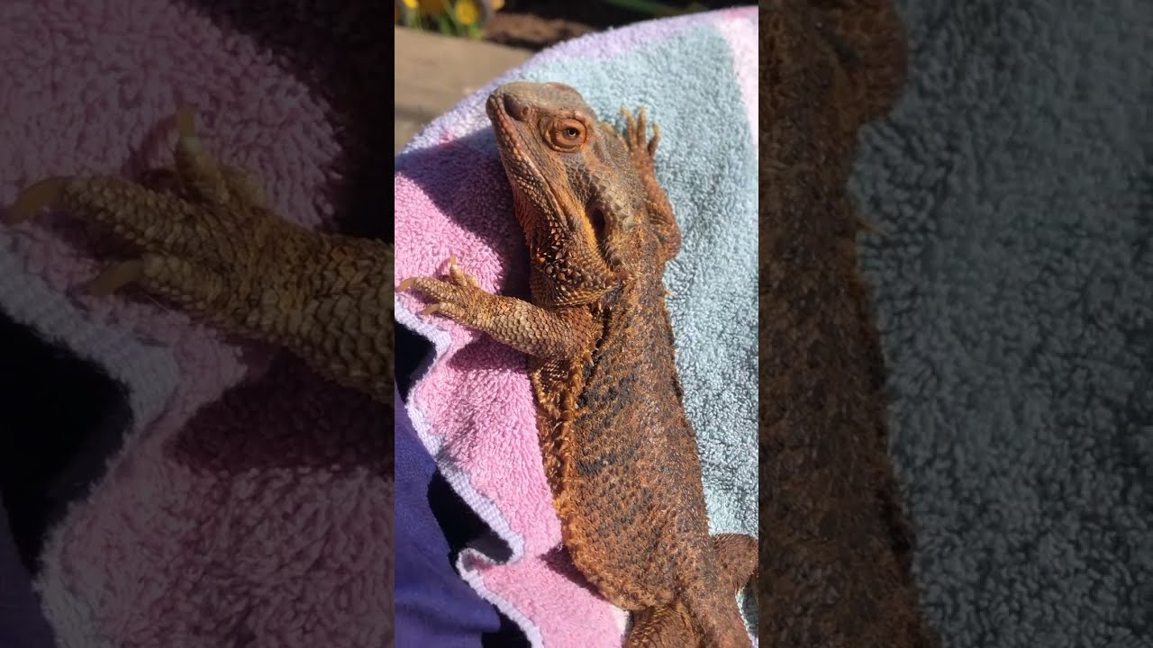 Outside with Stanley 