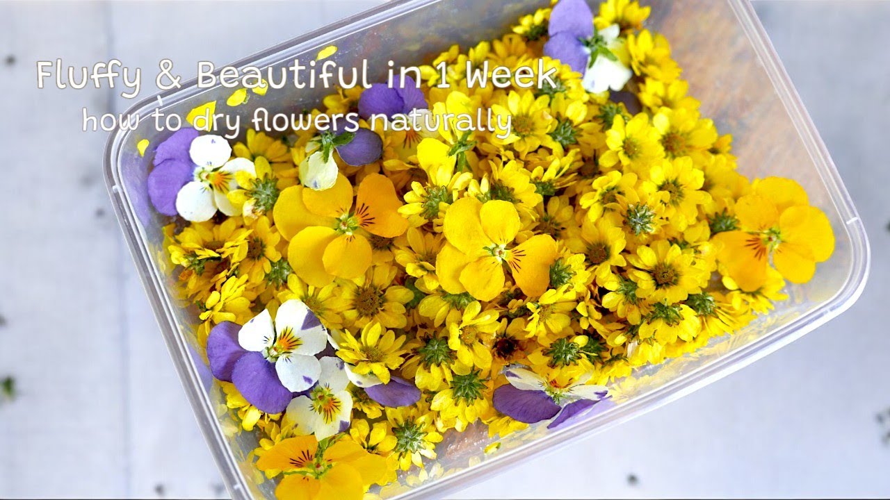 How to Make Dried Flowers with Silica Gel｜Easy & Beautiful DIY