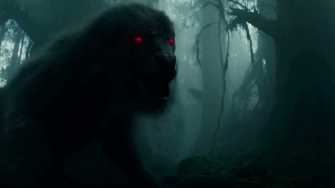 QUANDO O SILÊNCIO VOLTA A ANDAR