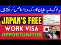 JAPAN TO OFFER FREE WORK VISA TO PAKISTANI IT PROFESSIONALS