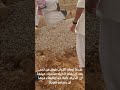 رحم الله كل روح غالية تحت الثرى 