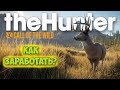 КАК ЗАРАБОТАТЬ БЫСТРО ДЕНЕГ - ОХОТА - The Hunter: Call of the Wild #5