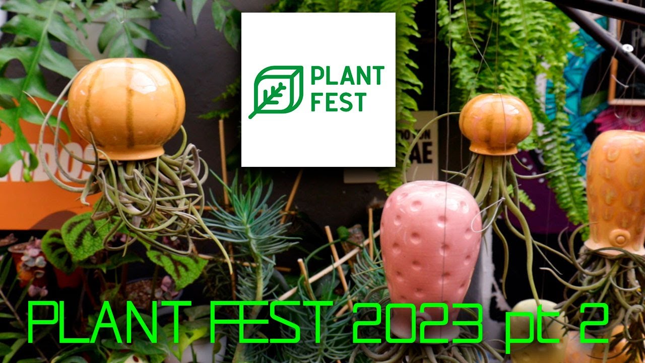 PLANT FEST 2023 pt 2 Plantas, plantas y más plantas YouTube