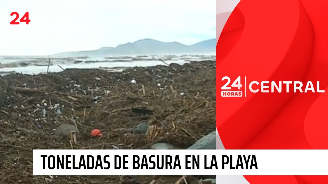 Toneladas de basura en la playa y pérdidas millonarias en la región de Coquimbo | 24 Horas TVN Chile