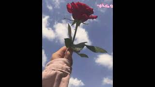 ||رمزيات ايدين بنات كيوت ||💕🤤| رمزيات ايدين ❤️👌