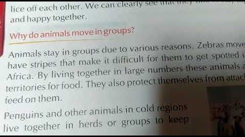 Std 4-EVS. Chapter 4.More about animals.