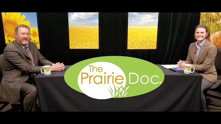 Our Precious Lungs | On Call with the Prairie Doc ...