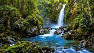 Relaxing River Sounds 💧 The Hypnotic Flow of a Quiet Forest Stream for Deep Sleep
