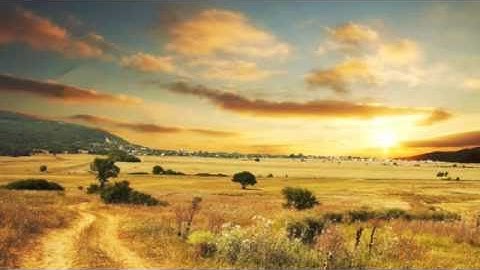 The Expedition-Hollywood Strings