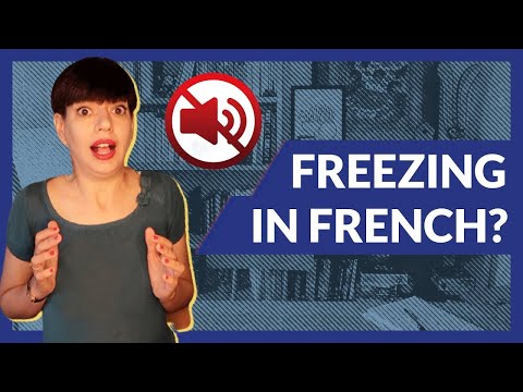 Stop Freezing in French: Tips To Keep Your Conversation Going