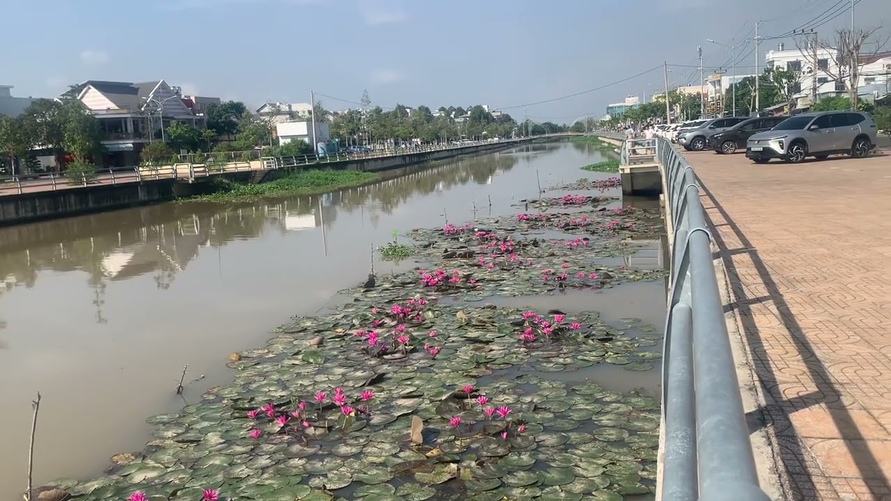 Gò Công bờ kè khu dân cư  TICCO