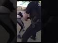 Karen got shot multiple times after shooting at cops. Instant karma.  #arrested #justice #wild