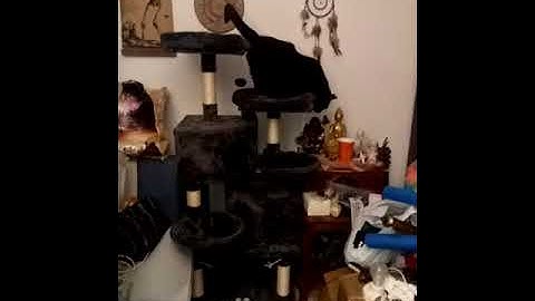 MQ Cat Tree Cat Tower 57in Multi-Level Cat Scratching Post with Condos, Basket, Hammock & Plush