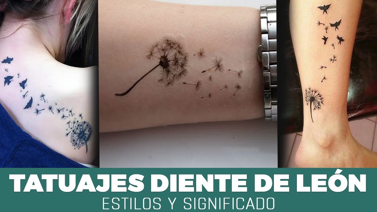 Tatuajes Diente De Leon Estilos Y Significado Asombroso Youtube