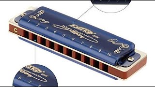 7 Amazing Banjos Sold On  May 2023