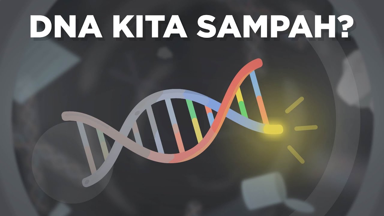 Sebanyak 99% dari DNA Manusia Itu ‘Ngga Guna’