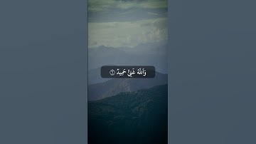 سورة التغابن بصوت الشيخ أنس العمادي