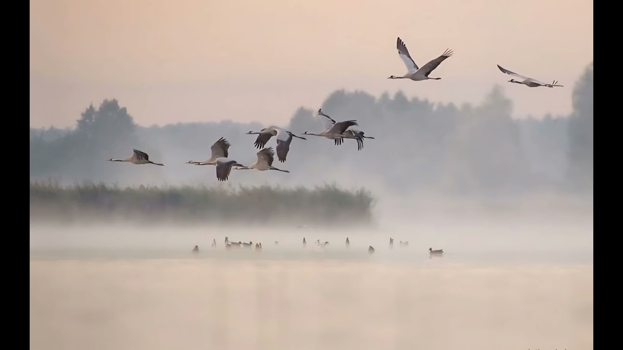 unforgettable - nat king cole