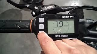 Pedal Electric How to get into the settings menu on the display screenshot 2