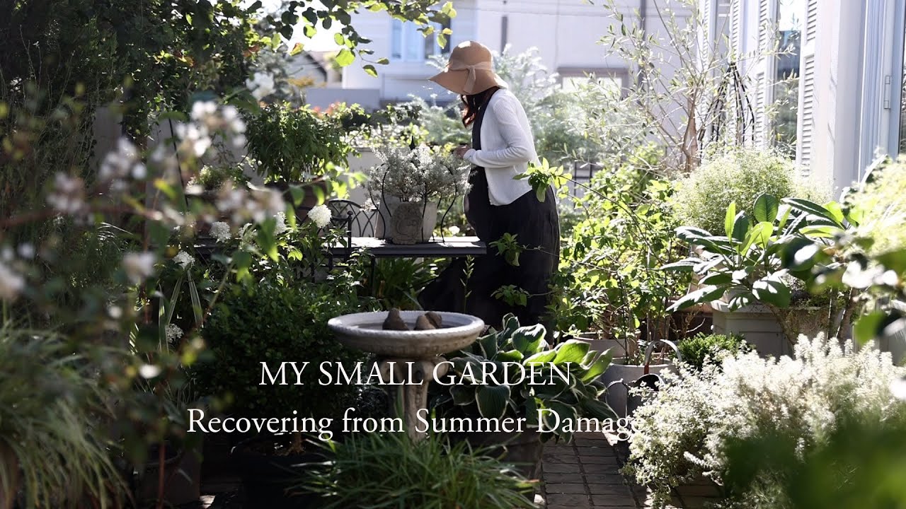 【ガーデニングと暮らし】秋に向けて整える庭　北欧スタイルの庭　荒れた庭のリカバリーとカフェ風ランチ