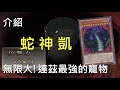 [ 遊戲王 ] 達茲的寵物 蛇神凱 Divine Serpent Geh