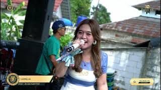 Elsa Safitri - Camelia Live Cover Edisi Kp Tegal Kemang Bogor