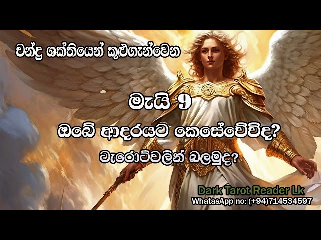 චන්ද්‍ර ශක්තියෙන් කුළුගැන්වෙන මැයි 9 ඔබේ ආදරයට කෙසේවේවිද?|Sinhala|#tarotreading #tarotcards class=