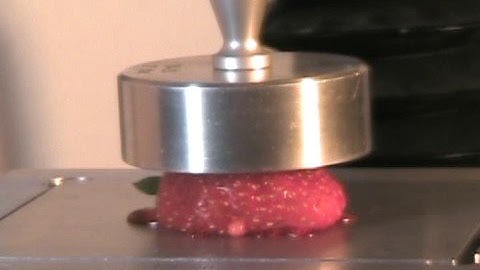 Squishing a Strawberry TAXTPlus Texture Analyzer
