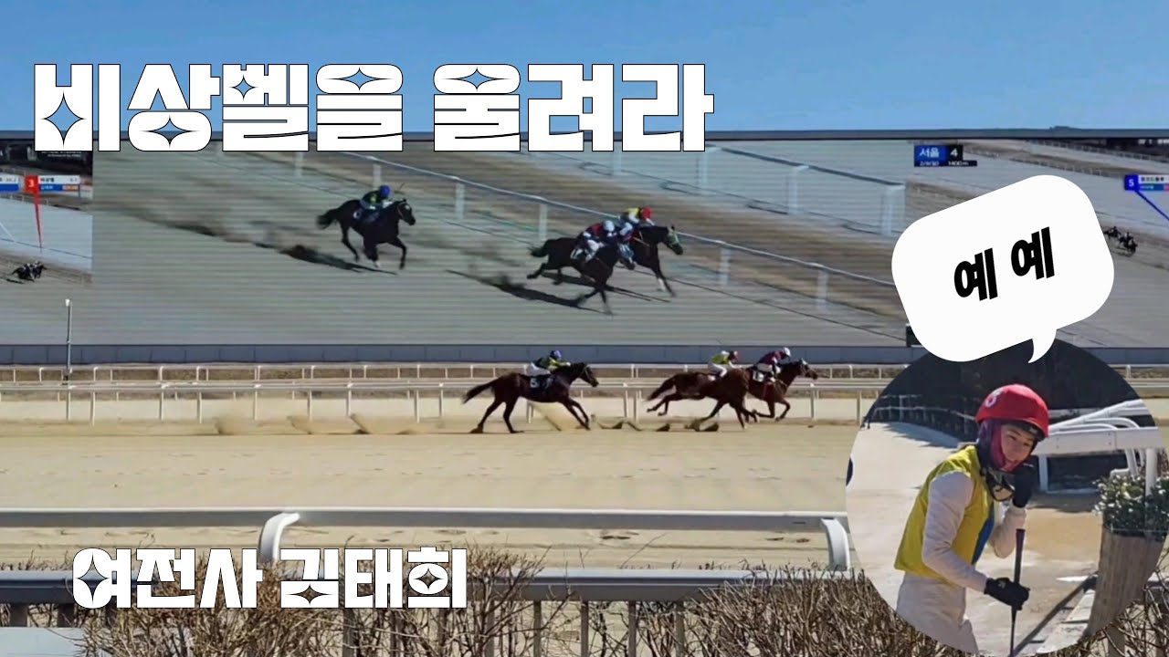 앞에 못가면 비켜라~태희공주님 나가신다~(서울경마 하이라이트)