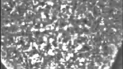 Tracking 3D Picometer-Scale Motions of Single Nanoparticles with High Energy Electron Probes