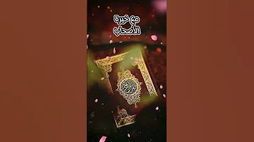حمدا لمن هدانا وسدد خطانا اناشيداسلاميه بدون موسيقى لاتنسى لايك واشتراك بالقناة ليصلك كل جديد 