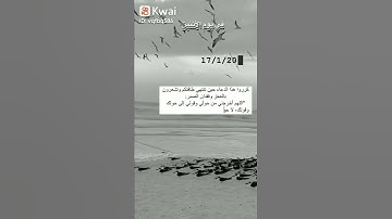 أرح مسمعك 🎧 وقلبك ❤️القارئ فارس عباد  #روائع_إسلامية #روائع_إسلامية