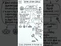 #tnelection2026 #tnpscgroup4 #history #tnpscstudy #tnpscstudy #tnpscgroup2studymaterial #gk