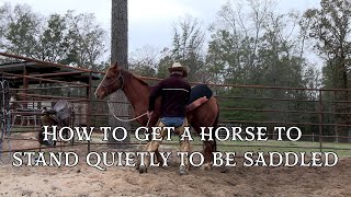 How to Get a Horse to Stand Quietly to be Saddled Preview