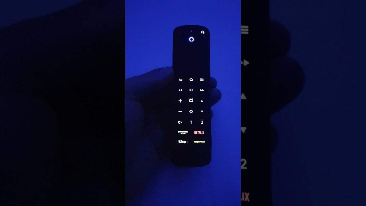 Amazon Fire Stick Pro Remote Review